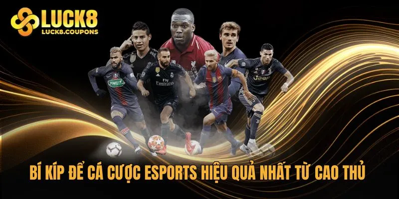 Bí kíp để cá cược Esports hiệu quả nhất từ cao thủ