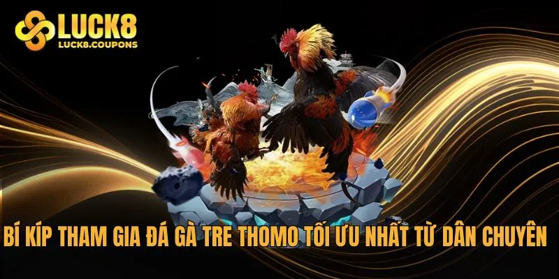 Bí kíp tham gia Đá gà tre Thomo tối ưu nhất từ dân chuyên