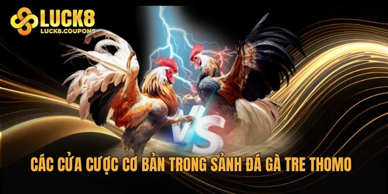 Các cửa cược cơ bản trong sảnh Đá gà tre Thomo