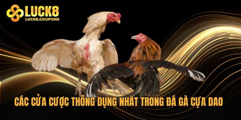 Các cửa cược thông dụng nhất trong đá gà cựa dao tại Luck8