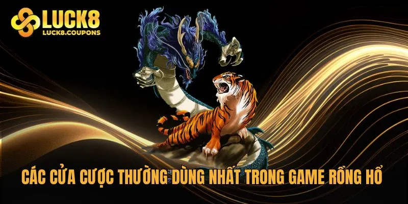 Các cửa cược thường dùng nhất trong game Rồng Hổ