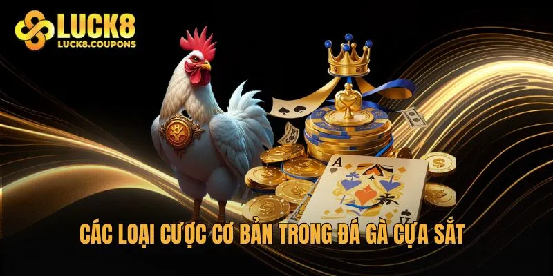 Các loại cược cơ bản trong đá gà cựa sắt mà tân thủ nên nắm