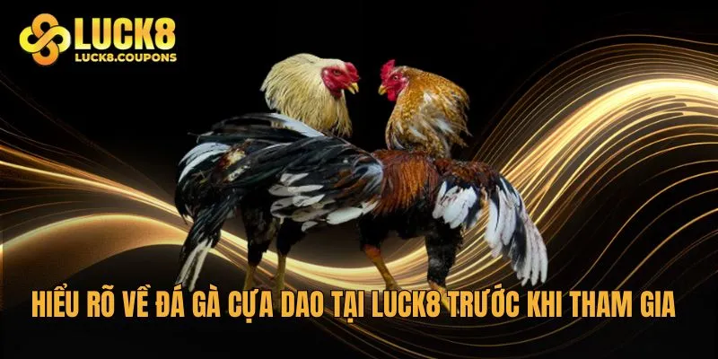 Hiểu rõ về đá gà cựa dao tại Luck8 trước khi tham gia