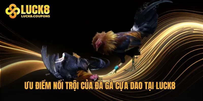Ưu điểm nổi trội của đá gà cựa dao tại Luck8